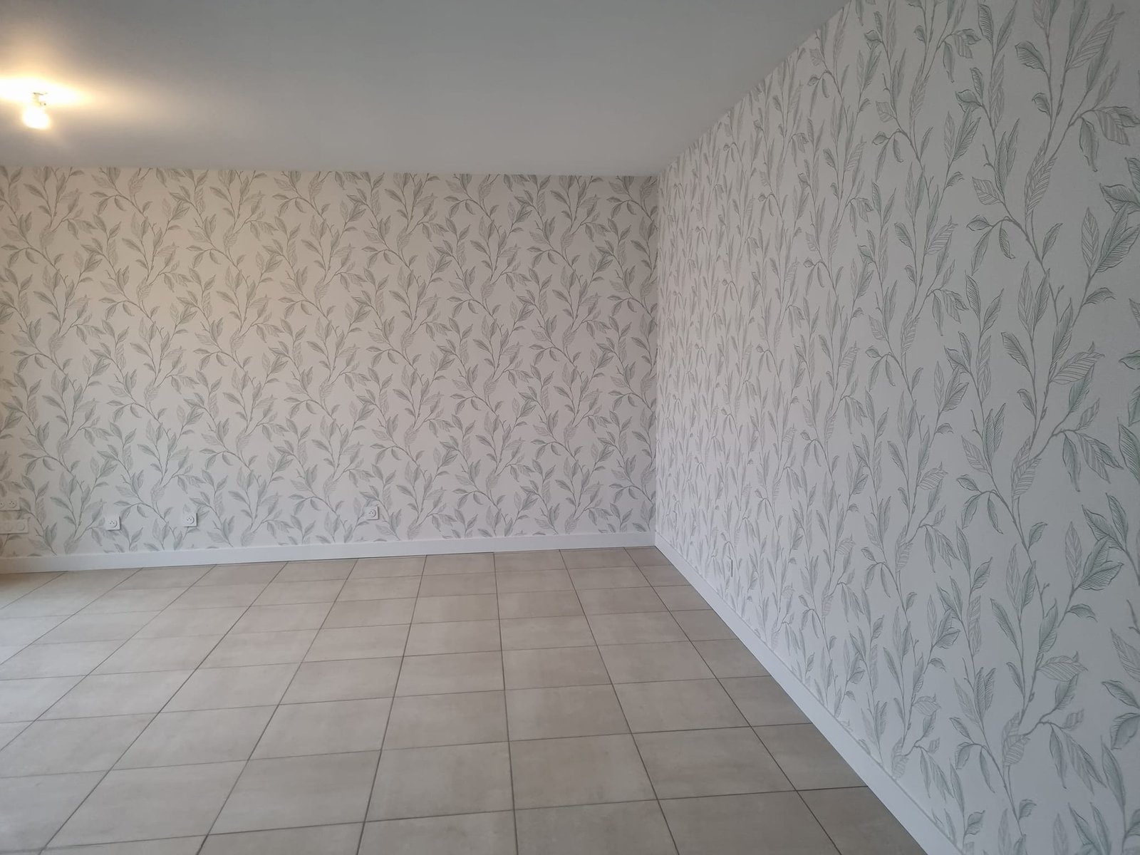 489549362_1250461337083672_6230916787699072247_n